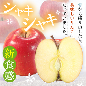 雪室りんご　サンふじ約2kg【2026年3月上旬～下旬順次発送】林檎リンゴ2キロ青森県五所川原市 雪に貯蔵