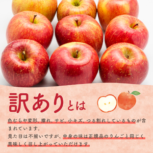【2026年6月下旬発送】【訳あり】りんご 3kg 有袋ふじ 【スマートフレッシュTM貯蔵またはCA貯蔵・クール便】