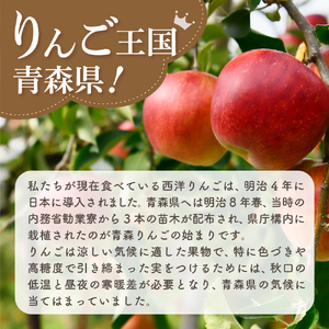 【2026年7月上旬発送】【訳あり】りんご 3kg 有袋ふじ 【スマートフレッシュTM貯蔵またはCA貯蔵・クール便】