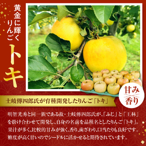 シードル　辛口 750ml×1本 （7％）「ときシードル（光秀連歌通説版）掛け紐：エンジ」 トキ で作ったシードル りんごのお酒 青森県産りんご 酒 アルコール トキりんごのお酒