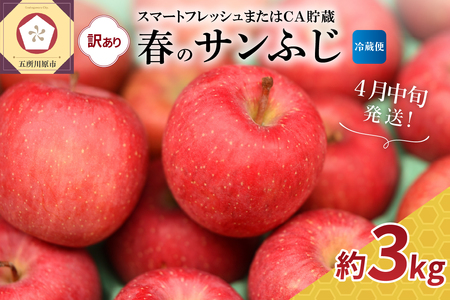 【2026年4月中旬発送】【訳あり】サンふじ りんご 約3kg【スマートフレッシュ貯蔵またはCA貯蔵・クール便】
