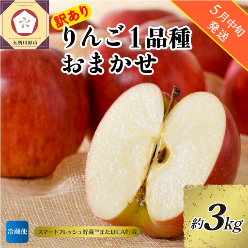 【2026年5月中旬発送】【訳あり】 りんご 約3kg 青森産 【おまかせ1品種 】【スマートフレッシュ貯蔵またはCA貯蔵・クール便】
