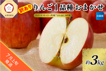 【2026年7月上旬発送】【訳あり】 りんご 約3kg 青森産 【おまかせ1品種 】【スマートフレッシュ貯蔵またはCA貯蔵・クール便】