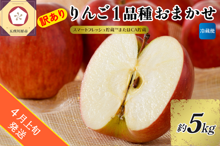 【2026年4月上旬発送】【訳あり】 りんご 約5kg 青森産 【おまかせ1品種 】【スマートフレッシュ貯蔵またはCA貯蔵・クール便】