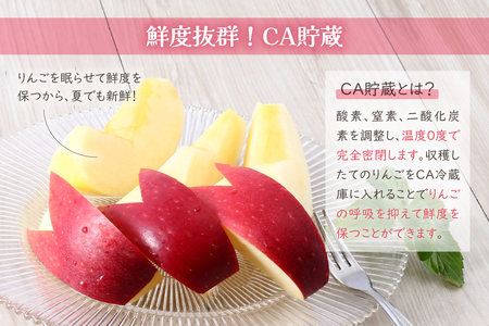 【2026年6月上旬発送】【訳あり】 りんご 約5kg 青森産 【おまかせ1品種 】【スマートフレッシュ貯蔵またはCA貯蔵・クール便】