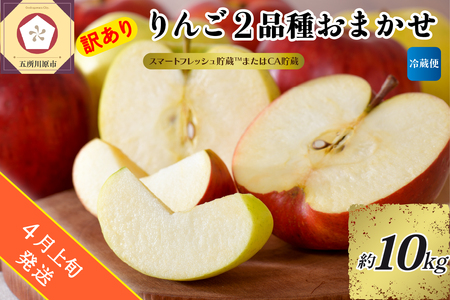 【2026年4月上旬発送】【訳あり】 りんご 約10kg 青森産 【おまかせ2品種 】【スマートフレッシュ貯蔵またはCA貯蔵・クール便】