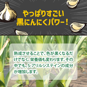 黒にんにくペースト　150g×2個 熟成 黒ニンニク 【 青森県 五所川原市 黒 大蒜 ニンニク 自社栽培 青森県産にんにく ペースト ホワイト6片使用黒にんにくペースト 】