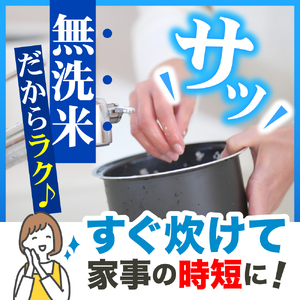【2月後半発送】令和7年産 無洗米 5kg はれわたり 5キロ 青森県産 特A受賞歴