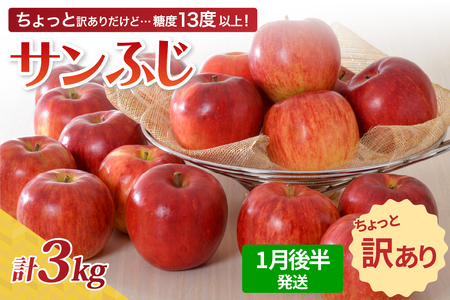 【ふるなびWEEK対象】りんご 約3kgサンふじ【2026年1月後半発送】【ちょっと訳あり】青森県五所川原市 FN-Limited-PR