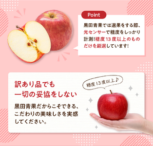 【ふるなびWEEK対象】りんご 約3kgサンふじ【2026年1月後半発送】【ちょっと訳あり】青森県五所川原市 FN-Limited-PR