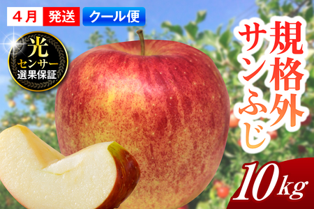 【2026年4月上旬発送】【規格外】 りんご 約10kg サンふじ スマートフレッシュ™貯蔵 または CA貯蔵 【クール便】 青森県産