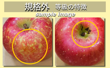 【2026年7月上旬発送】【規格外】 りんご 有袋ふじ 約2kg スマートフレッシュ™貯蔵 または CA貯蔵 【クール便】 青森県産