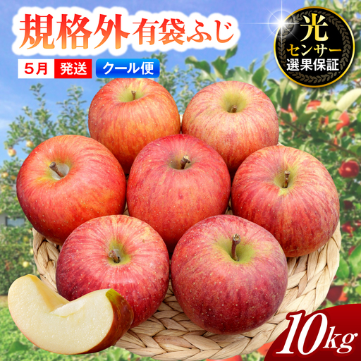 【2026年5月上旬発送】【規格外】 りんご 約10kg 有袋ふじ スマートフレッシュ™貯蔵 または CA貯蔵 【クール便】 青森県産