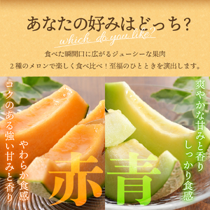 【ふるなびWEEK対象】【2026年7月後半発送】津軽のメロン 約8kg (赤肉・青肉セット) 4～6玉・秀～優 青森県産 FN-Limited-WE