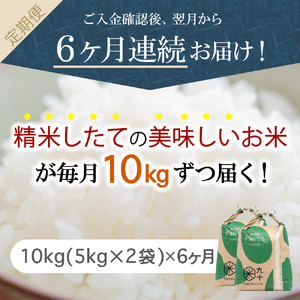 【定期便 6ヶ月】 米 10㎏ まっしぐら 青森県産 【一等米】（精米・5kg×2）