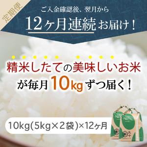 【定期便 12ヶ月】 米 10㎏ まっしぐら 青森県産 【一等米】（精米・5kg×2）