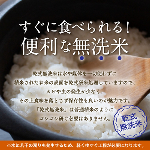 無洗米 10㎏ 青森県産 つがるロマン （精米） 【定期便 3ヶ月】