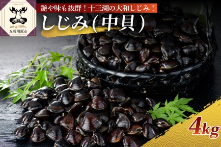 十三湖産 大和しじみ（中貝）4kg（冷凍・砂抜き済）