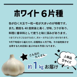 青森県にんにく10Kg S 良品 - www.glacialthermo.com.co