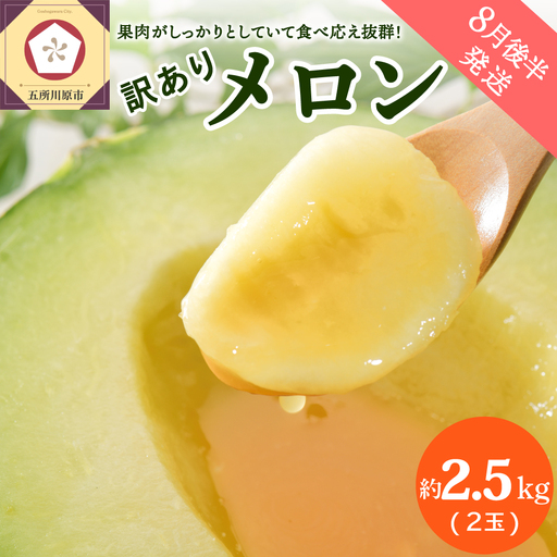 【2026年8月後半発送】【訳あり】メロン 約2.5kg 青肉 2玉 青森産