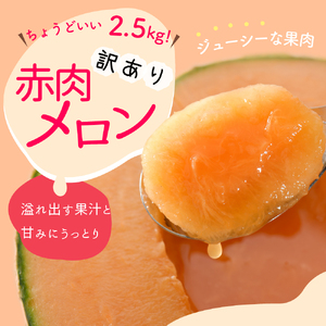 【2026年8月後半発送】【訳あり】 メロン 2.5kg程度 (赤肉 2玉) 青森県産