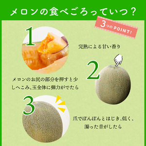 【2026年8月後半発送】【訳あり】 メロン 2.5kg程度 (赤肉 2玉) 青森県産