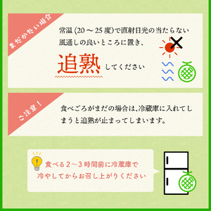 【2026年8月後半発送】 メロン 5kg程度 青肉 (4～6玉) 青森県産