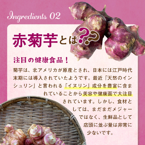 赤菊芋使用 青森県産食品セット 菊芋ドリンク 菊芋パウダー2種 菊芋うどん2種 御所シリーズ 詰合せギフトセット 青森県五所川原市 ふるさと納税サイト ふるなび