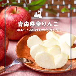 【2022年12月中旬発送】 【訳あり】 旬の美味しい りんご 約5kg 青森 産 【おまかせ1品種】