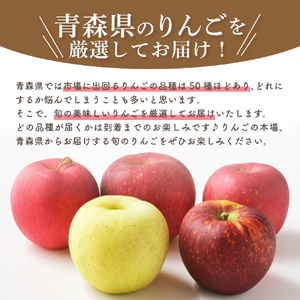 【2024年10月中旬発送】 【訳あり】 旬の美味しい りんご 約10kg 青森産 【おまかせ2品種】