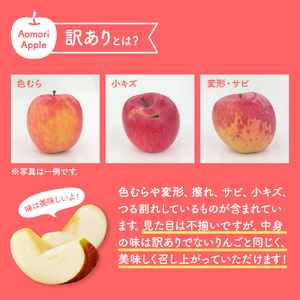 【2026年3月上旬発送】 【訳あり】 りんご 約10kg サンふじ 青森産