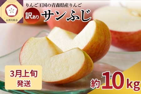 【2025年3月上旬発送】 【訳あり】 りんご 約10kg サンふじ 青森産