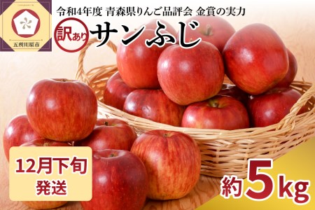 【2024年12月下旬発送】【訳あり】りんご 青森産 約5kg サンふじ