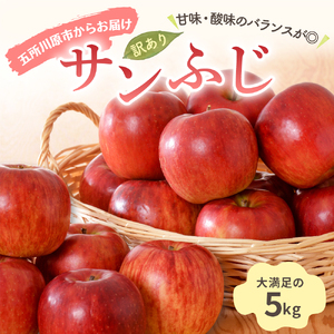 【2026年1月中旬発送】【訳あり】りんご 青森産 約5kg サンふじ
