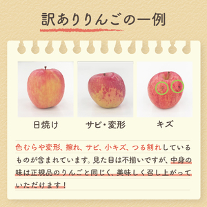 【2026年1月中旬発送】【訳あり】りんご 青森産 約5kg サンふじ