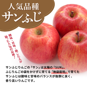 りんご　【2024年12月下旬発送】【訳あり】 りんご 10kg サンふじ 青森 不揃い サンふじりんご