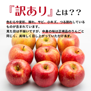 りんご 【2024年2月中旬発送】【訳あり】 りんご 10kg サンふじ 青森