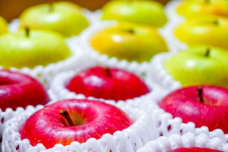 【2026年3月下旬発送】【訳あり】 りんご 15kg 詰め合わせ 計2種(サンふじ と 他1種) 不揃い フルーツ 家庭用