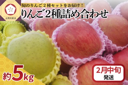 【2026年2月中旬発送】 りんご 5kg サンふじ 王林 他 紅白 詰め合わせ 青森