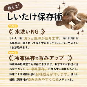 しいたけ　2kg【11月より順次発送】国産肉厚青森きのこ