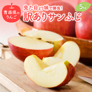 【2026年3月上旬発送】 【訳あり】 りんご 約5kg サンふじ 青森りんご