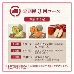 【2024年7月発送開始】 おいしい3種類☆フルーツ定期便【3回】（メロン食べ比べセット）赤肉・緑肉メロン、りんご