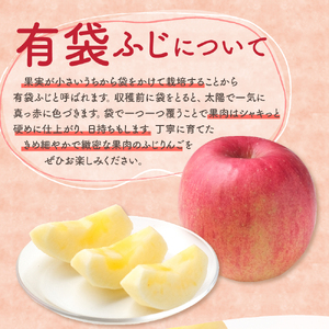 【2026年6月中旬発送】【訳あり】りんご有袋ふじ5kg(スマートフレッシュTM貯蔵又はCA貯蔵・クール便)