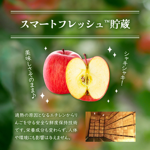 【2026年5月下旬発送】≪特選≫りんご有袋ふじ5kg (スマートフレッシュTM貯蔵またはCA貯蔵・クール便)