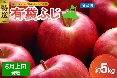 【2026年6月上旬発送】≪特選≫りんご有袋ふじ5kg (スマートフレッシュTM貯蔵またはCA貯蔵・クール便)