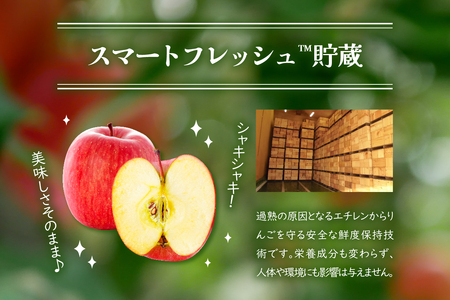 【2026年4月上旬発送】特選りんご5kg 春の丸かじりサンふじ スマートフレッシュ™又はCA貯蔵