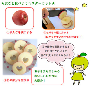 【2026年4月上旬発送】特選りんご5kg 春の丸かじりサンふじ スマートフレッシュ™又はCA貯蔵