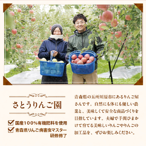 青森 りんごジュース 1L×3本 りんご 果汁 100％ ストレート すっきり 飲み比べ セット