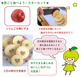 りんご 【2026年3月上旬発送】【訳あり】 りんご サンふじ 5kg 青森