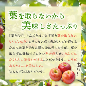 青森りんご　【2024年12月後半発送】【訳あり】葉とらずサンふじりんご約5kg青森県産 青森りんご 赤いりんごふじりんごサンふじりんご青森のりんご訳ありりんごワケアリりんご訳アリりんご